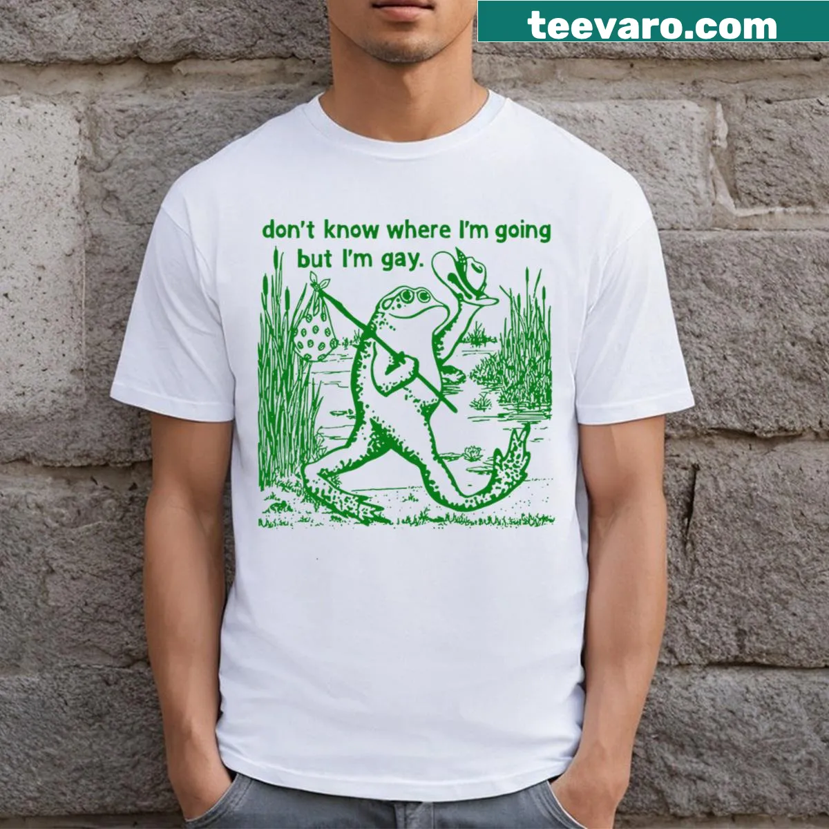 Whimsical T-shirt with a frog and text about being gay — on a men's t-shirt