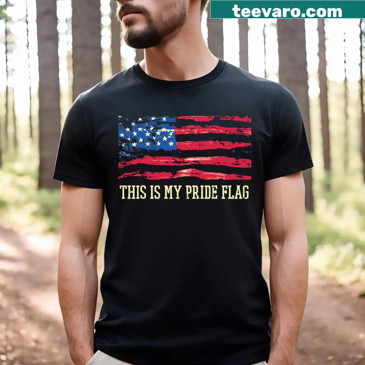 Playful tee featuring an American flag and pride theme text — on a men's t-shirt