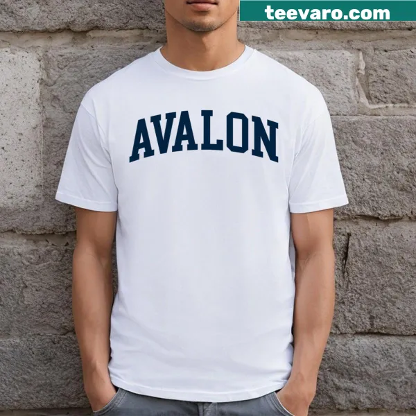 Retro Avalon New Jersey t-shirt for men