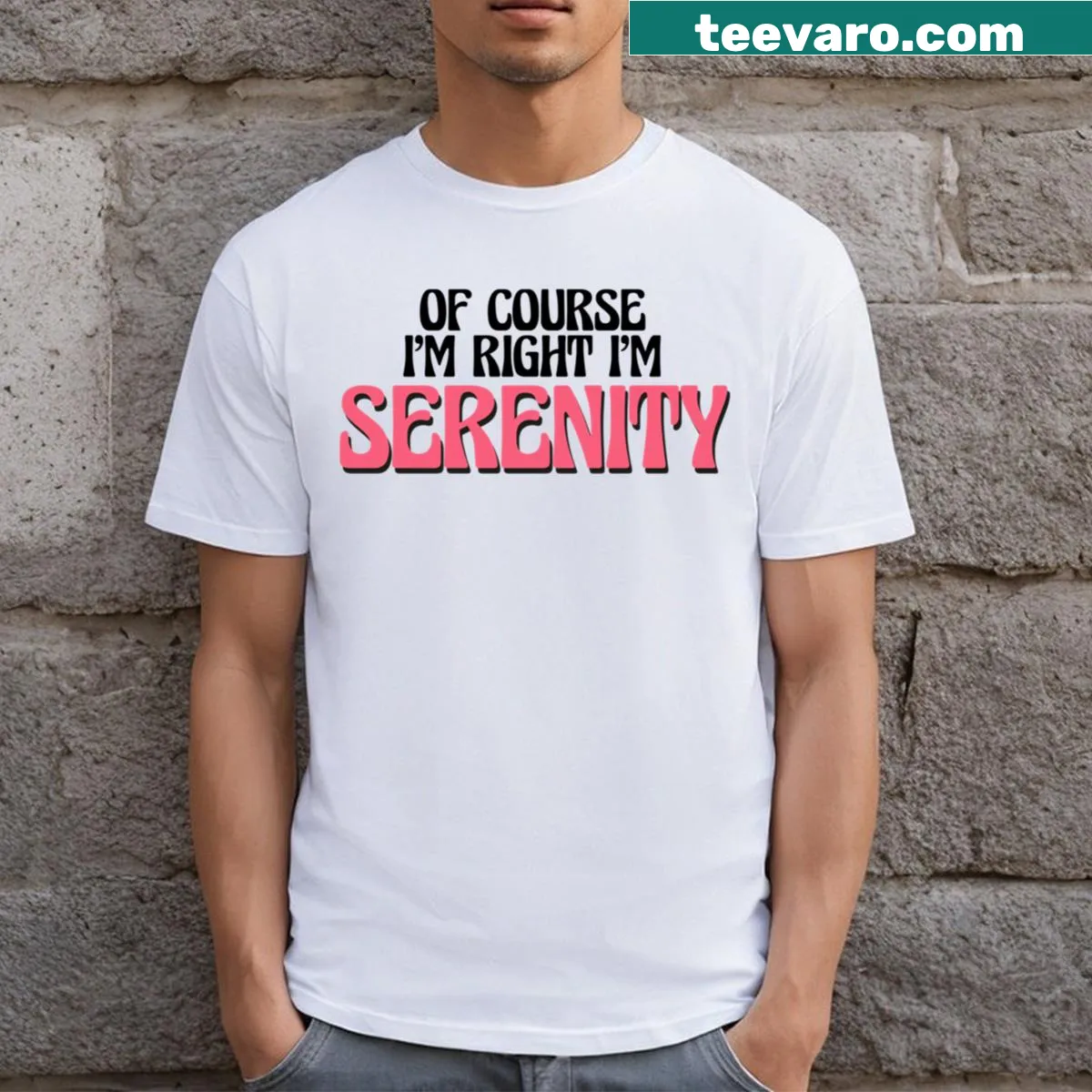 Funny T-shirt with sarcastic text — on a men's t-shirt