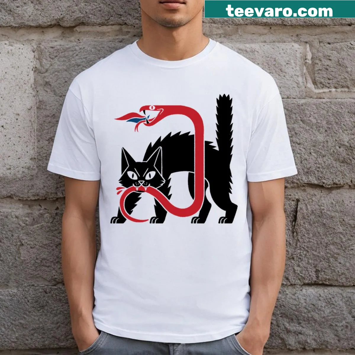 Illustration of a black cat biting a snake on a transparent t-shirt — on a men's t-shirt