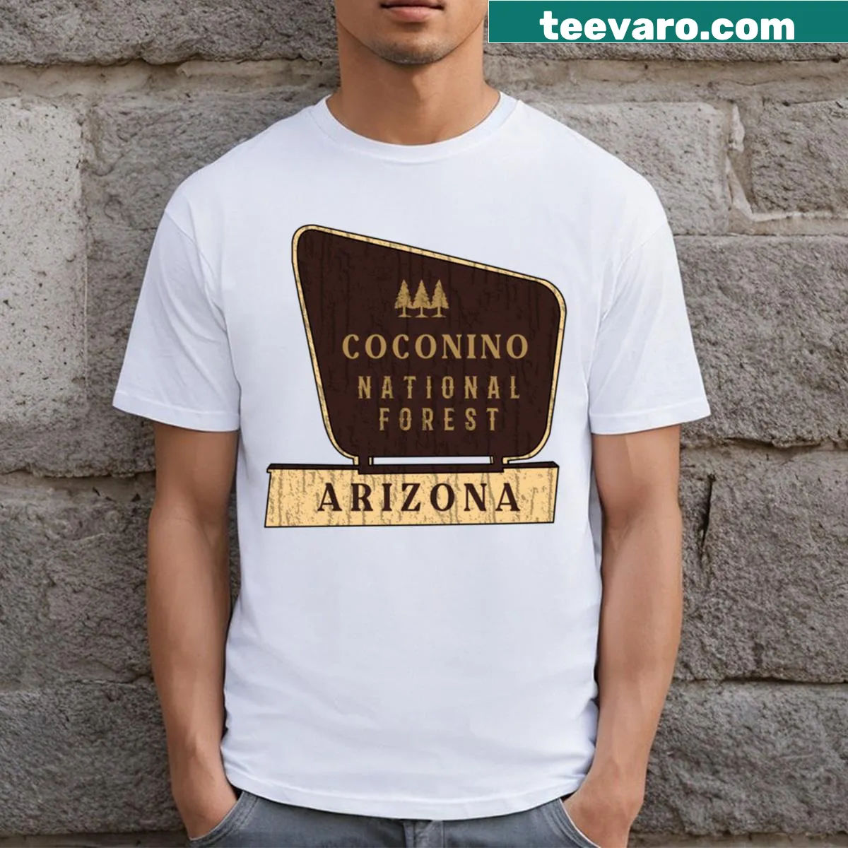 Illustrated T-shirt celebrating Coconino National Forest — on a men's t-shirt