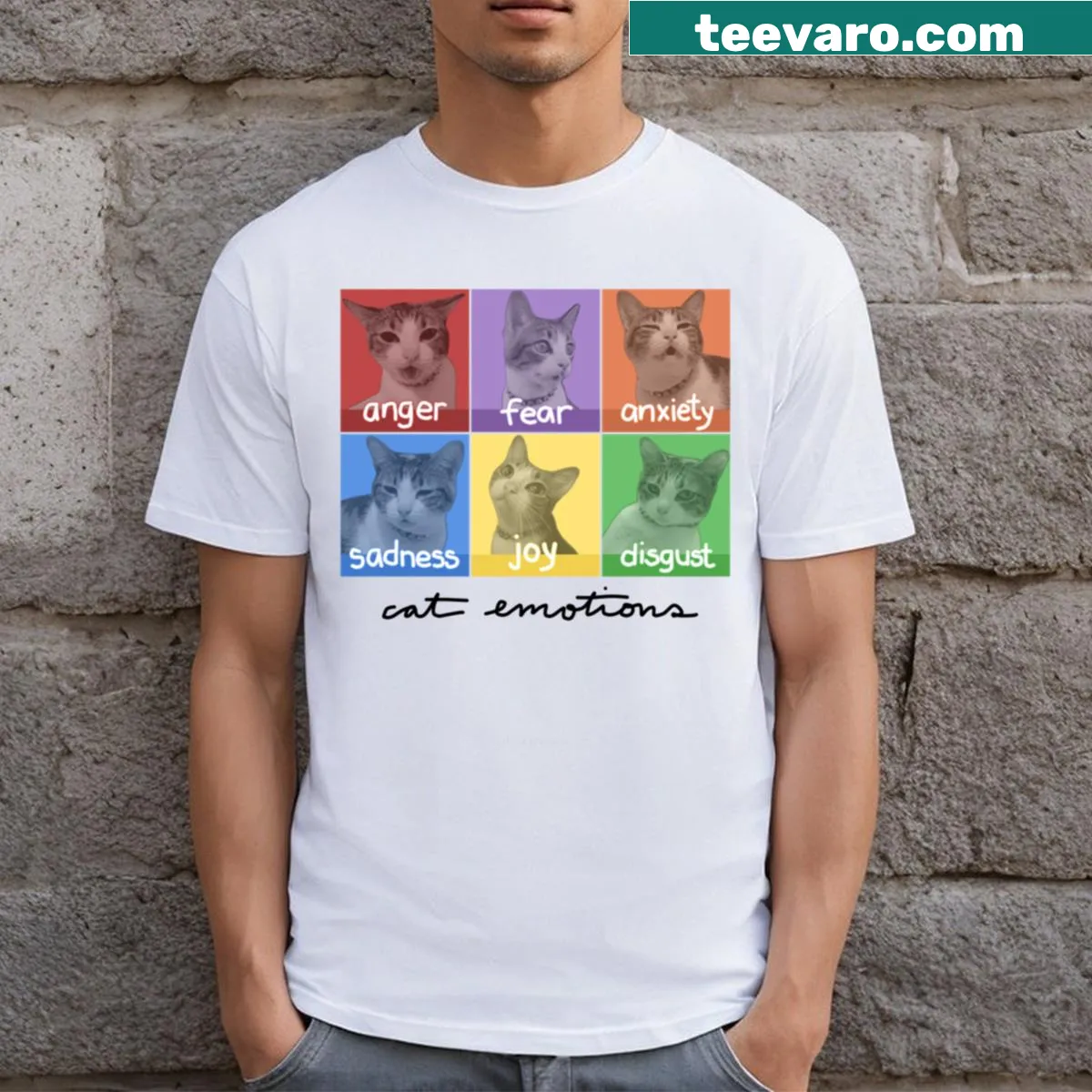 Illustrative shirt showcasing various cat emotions — on a men's t-shirt