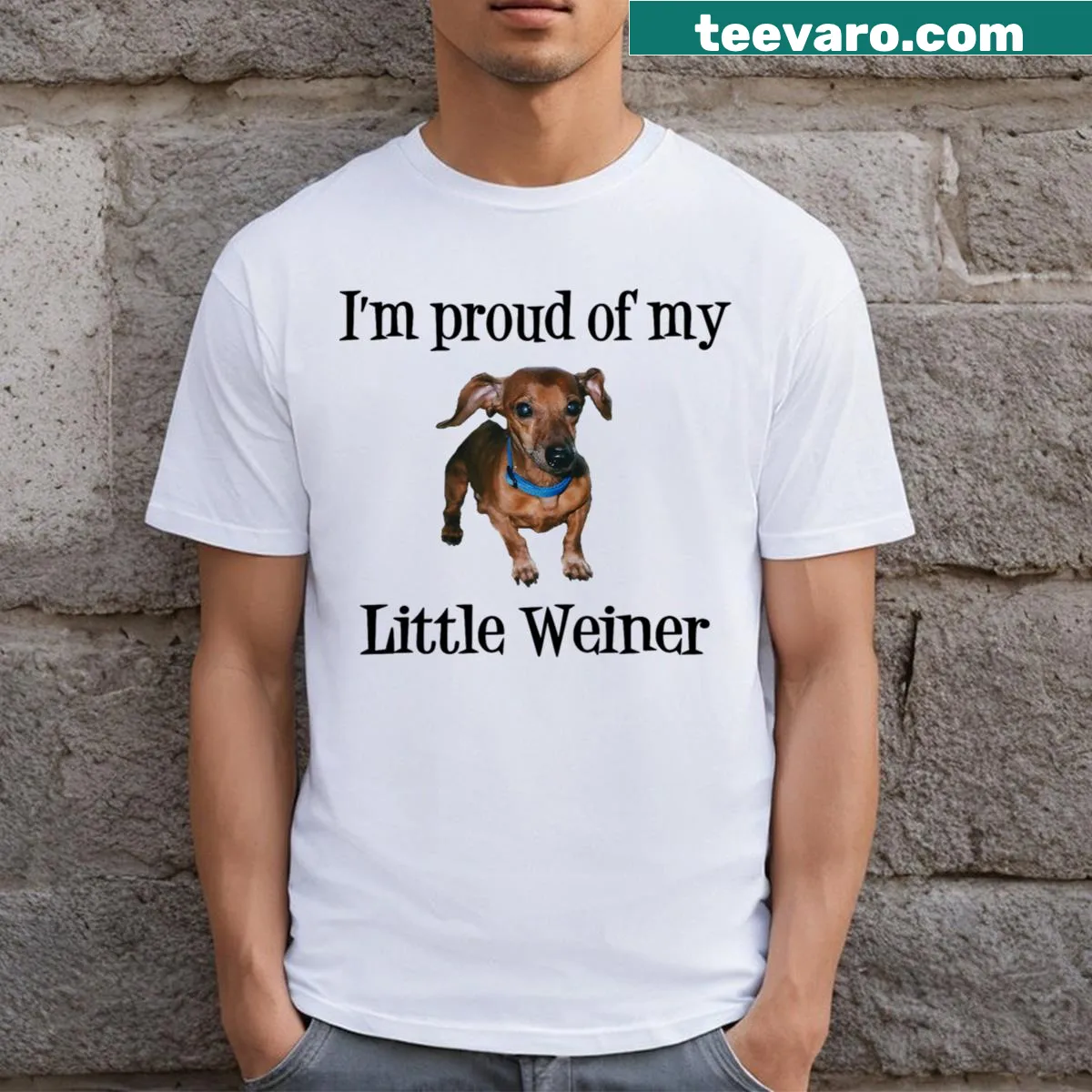 Funny dog lover shirt with text about dachshunds — on a men's t-shirt