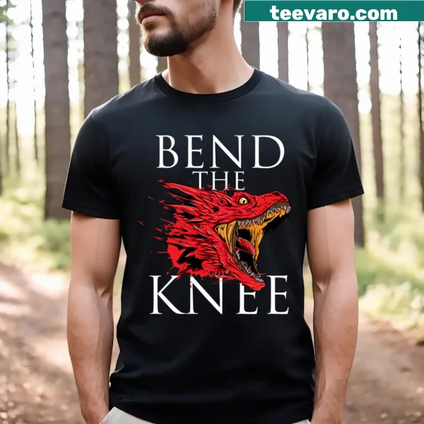 Bold dragon illustration on fantasy-themed T-shirt