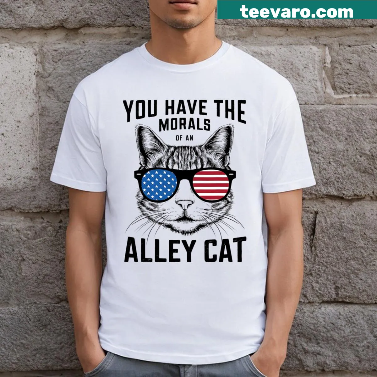 Funny men's T-shirt with 'You Have The Morals Of An Alley Cat' — on a men's t-shirt