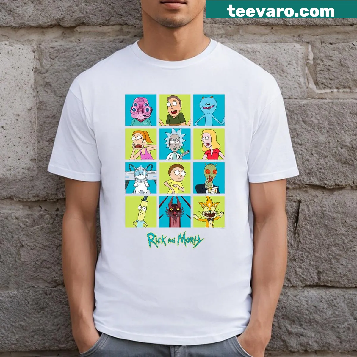 Adult T-shirt featuring characters from Rick and Morty cartoon — on a men's t-shirt