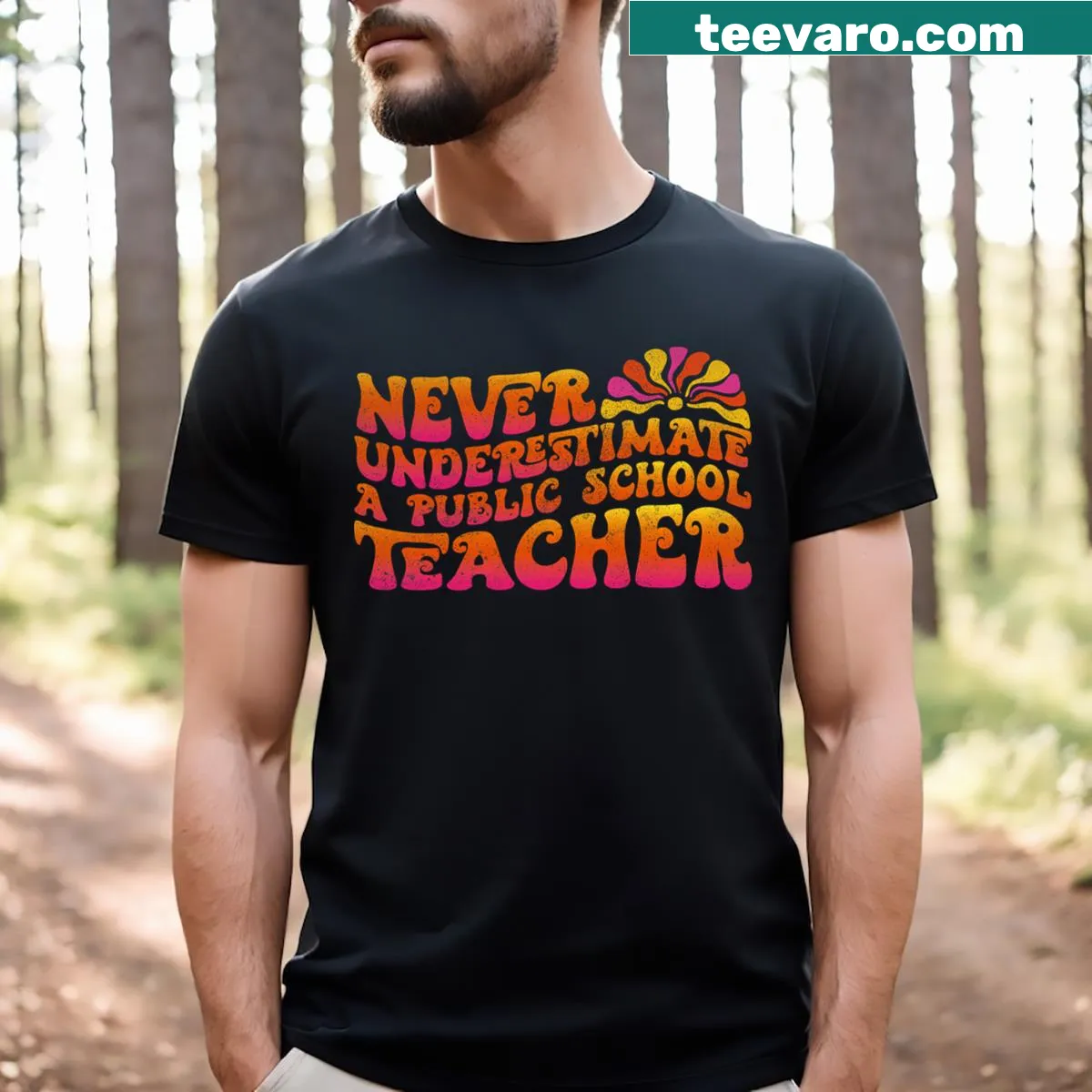 Inspirational graphic t-shirt for public school teachers — on a men's t-shirt