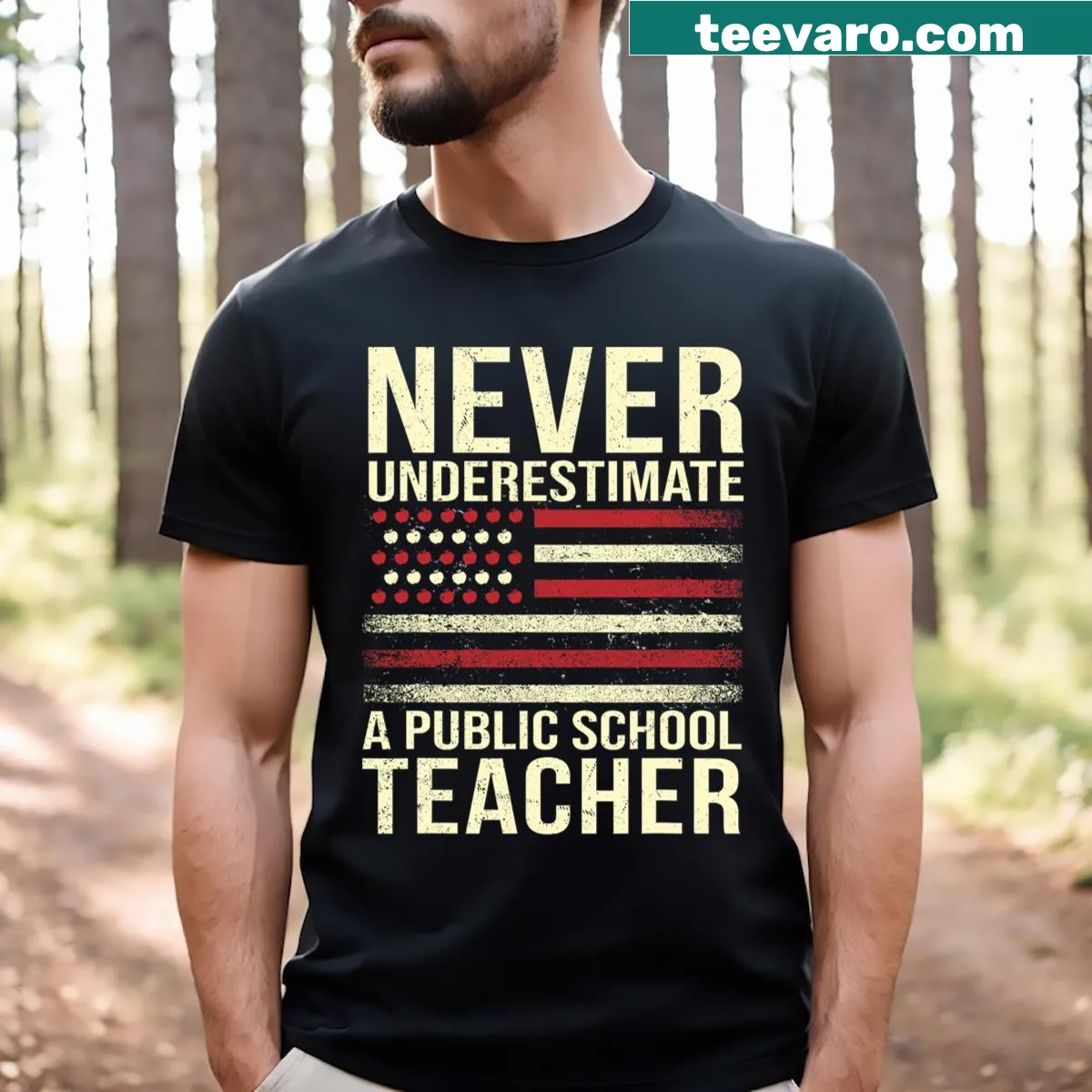 T-shirt with the text 'Never Underestimate A Public School Teacher' prominently displayed — on a men's t-shirt