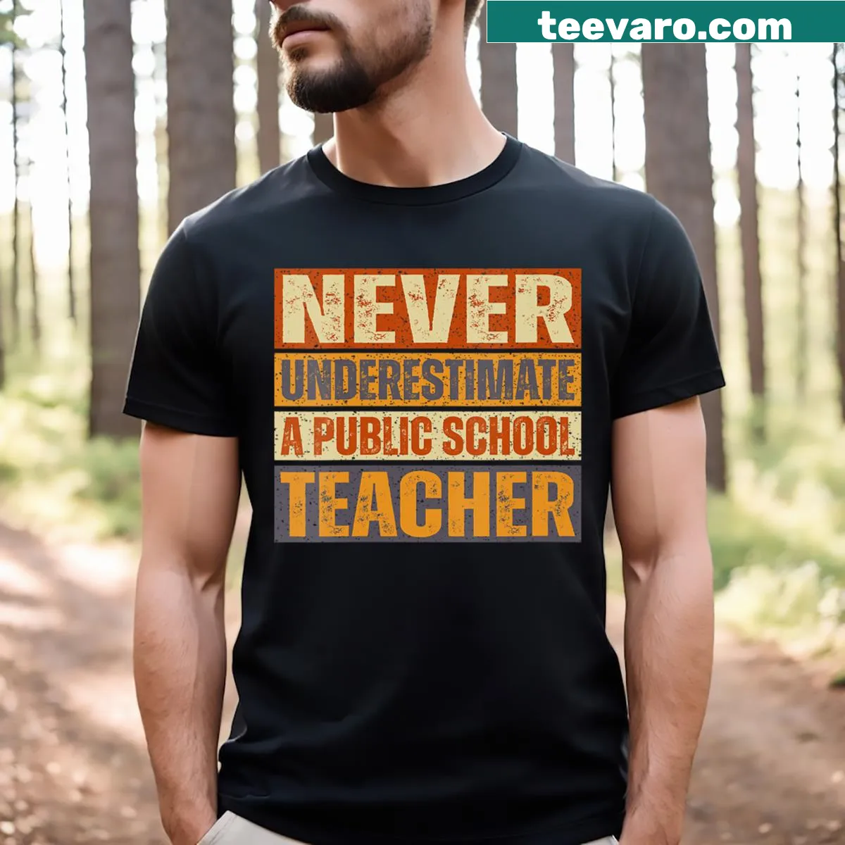 Vintage-style humorous V-neck t-shirt for public school teachers — on a men's t-shirt