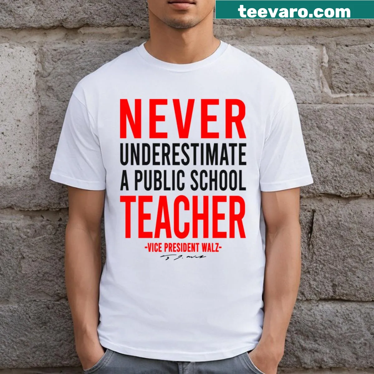 Typography design celebrating public school teachers on a T-shirt. — on a men's t-shirt