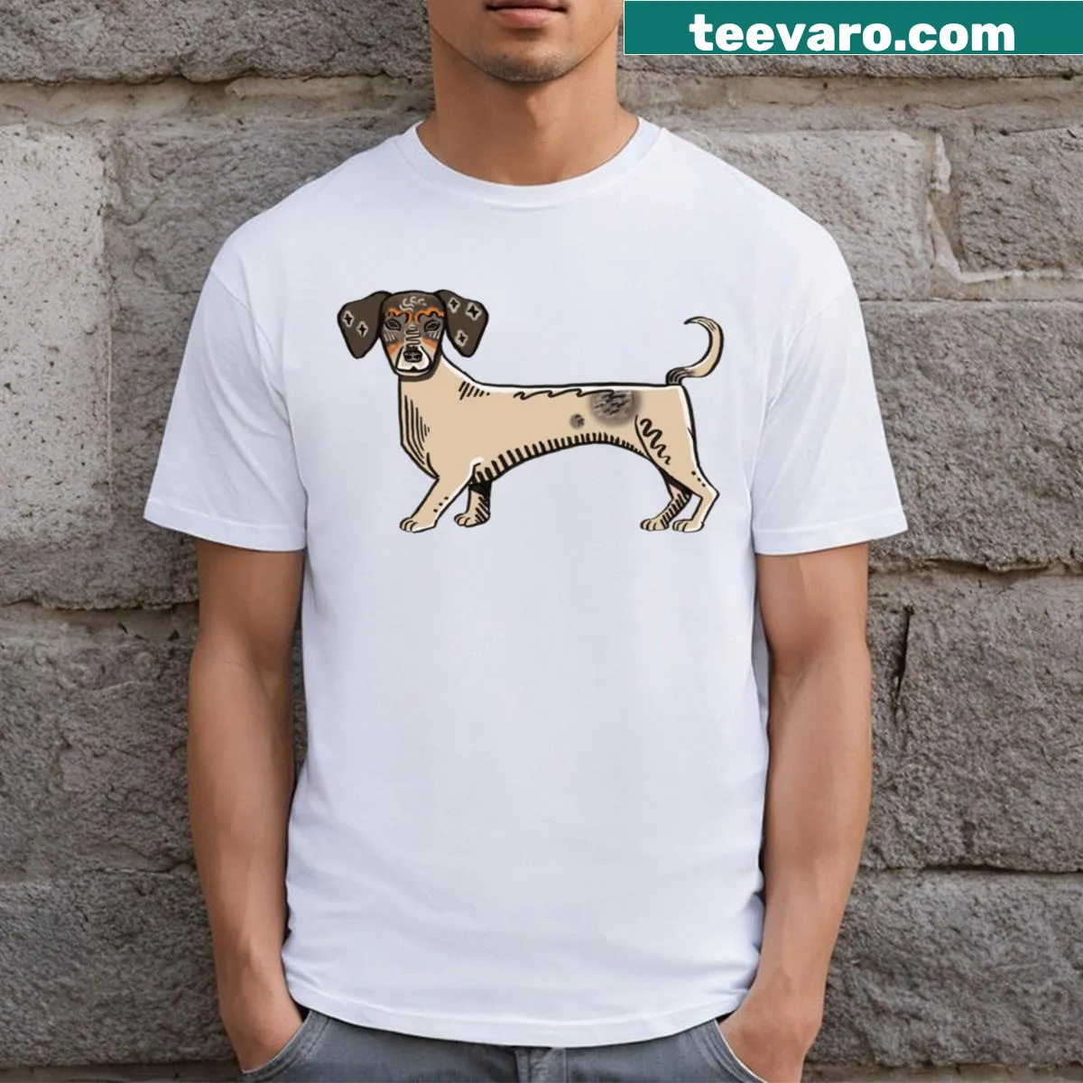 Illustration of a charming goose on a T-shirt — on a men's t-shirt