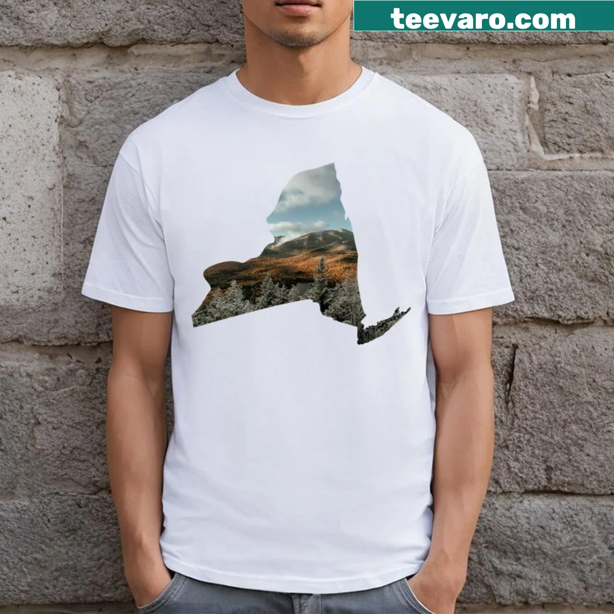Illustrated T-shirt showcasing the scenic beauty of the Adirondacks. — on a men's t-shirt
