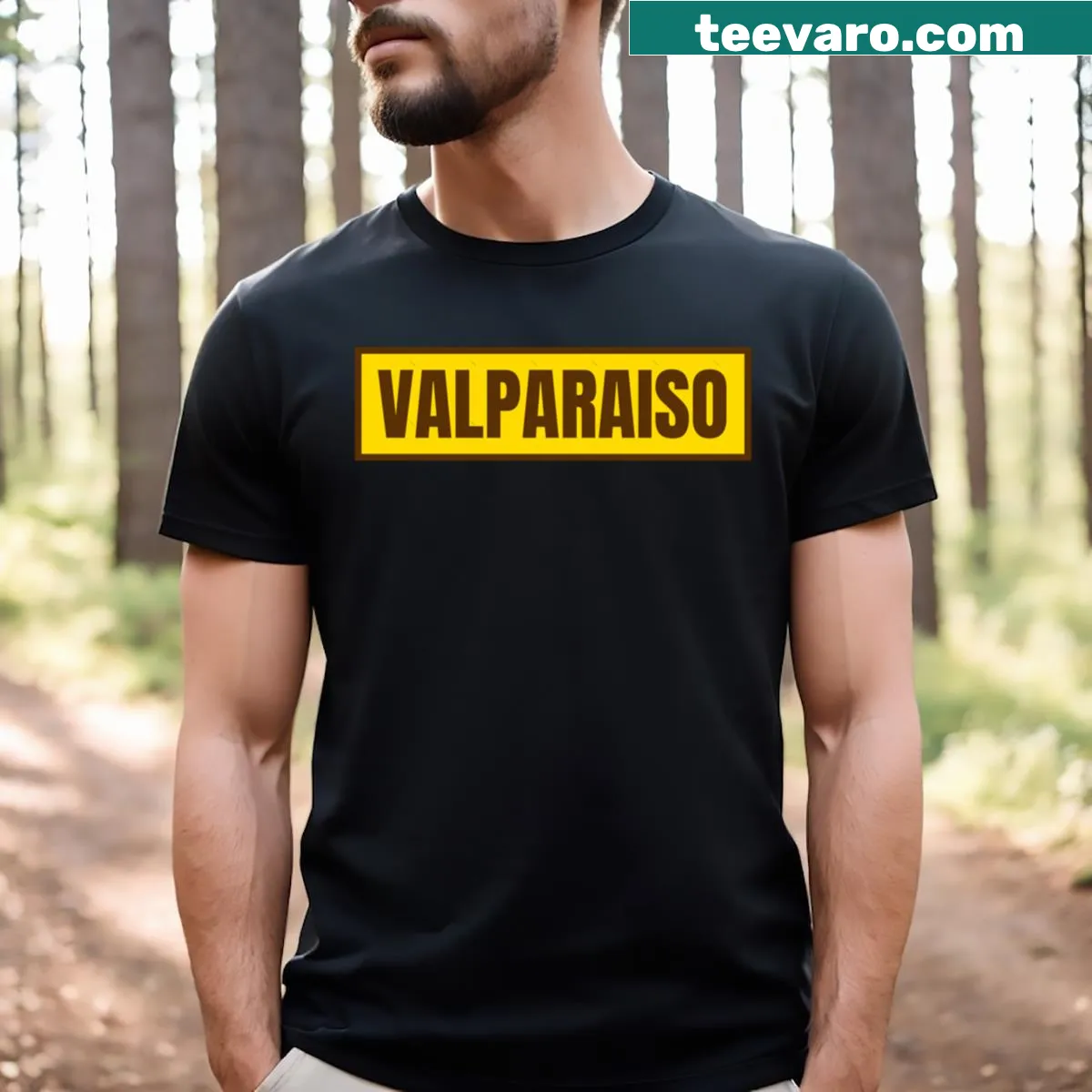 Illustrated Valparaiso t-shirt featuring coastal city design — on a men's t-shirt
