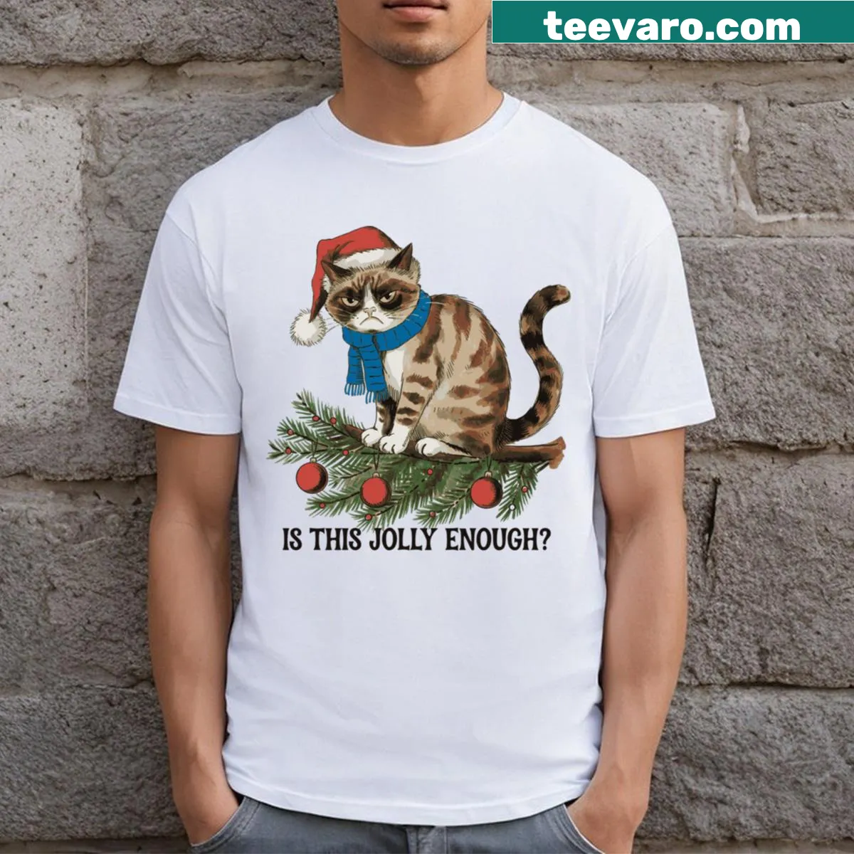 Whimsical text reading 'Is This Jolly Enough' on a T-shirt — on a men's t-shirt