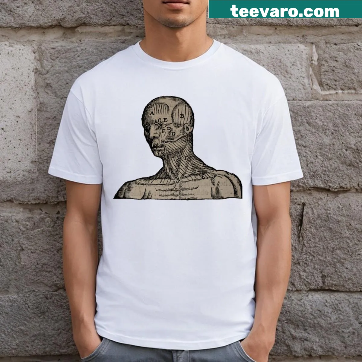 Vintage illustration of human torso anatomy on a T-shirt — on a men's t-shirt