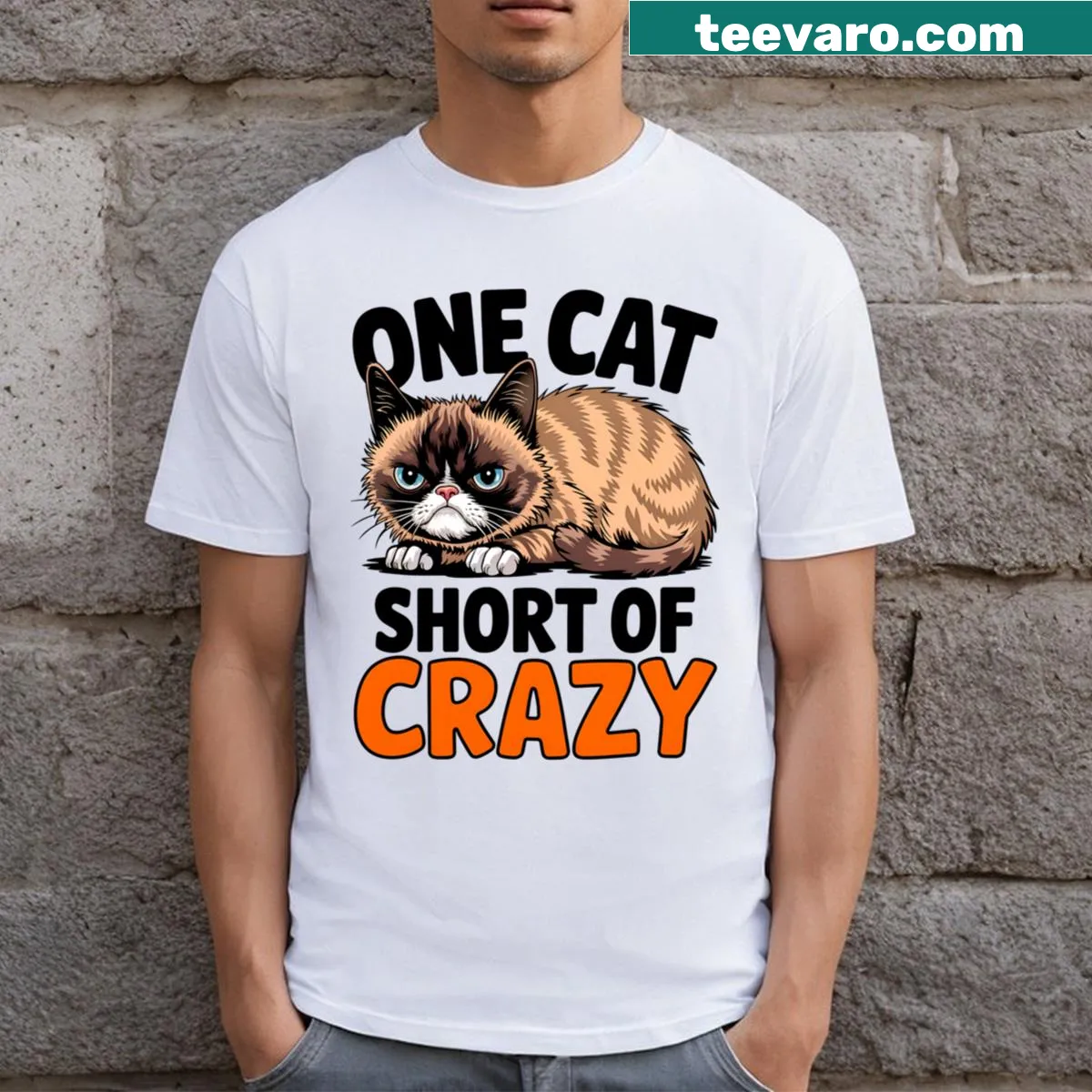 Funny 'One Cat Short Of Crazy' T-shirt for cat lovers — on a men's t-shirt