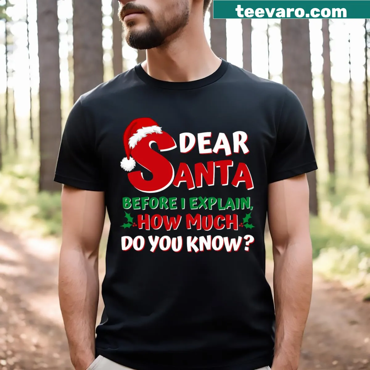 Humorous Santa graphic with the text 'I Can Explain' on T-shirt — on a men's t-shirt
