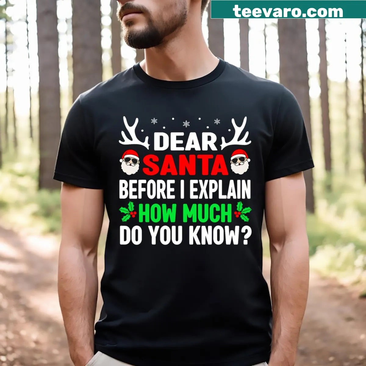 Shirt with 'Dear Santa, I Can Explain' text for kids and adults — on a men's t-shirt