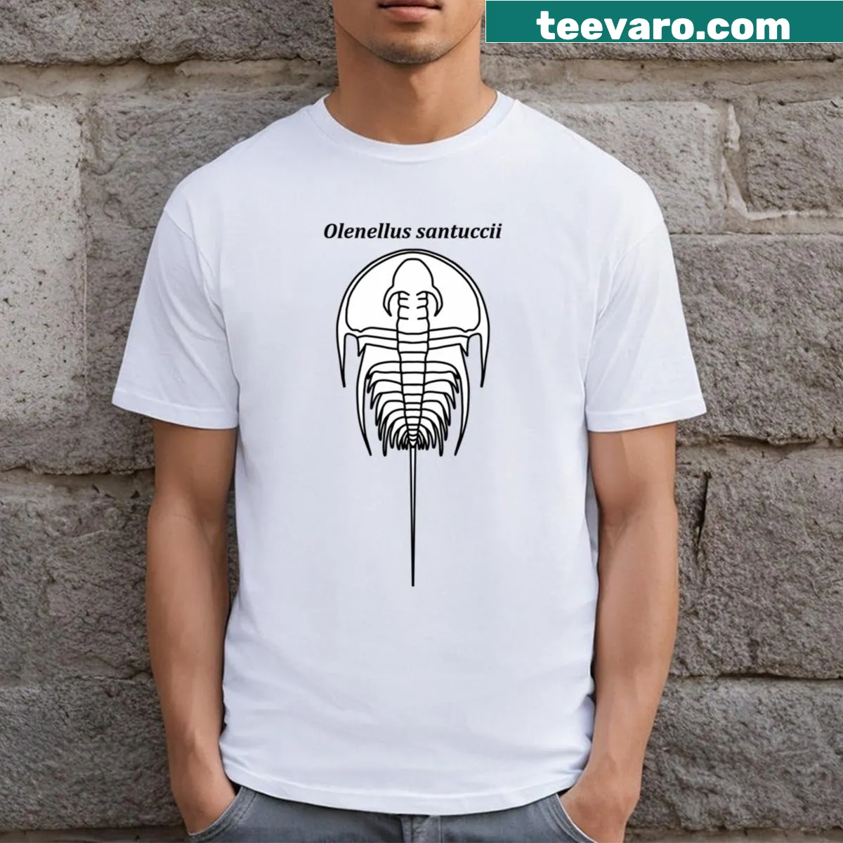 Illustrative design featuring Olenellus Santuccii — on a men's t-shirt