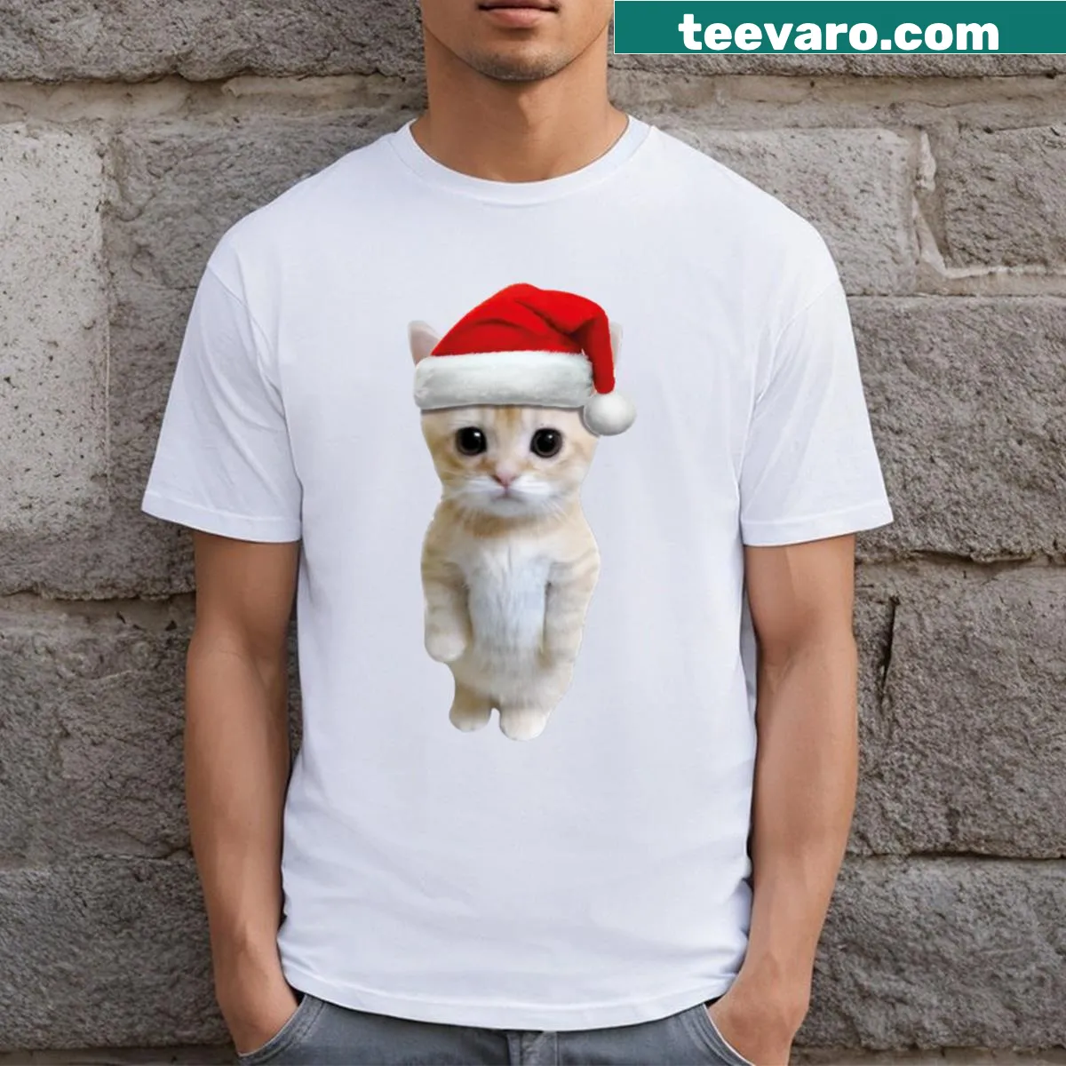 Festive cat with sombrero design for Christmas — on a men's t-shirt