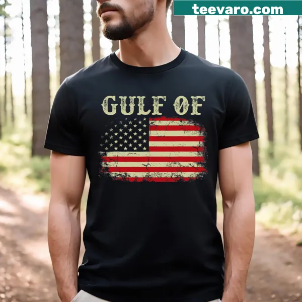 Vintage Gulf of the USA flag graphic on a funny t-shirt