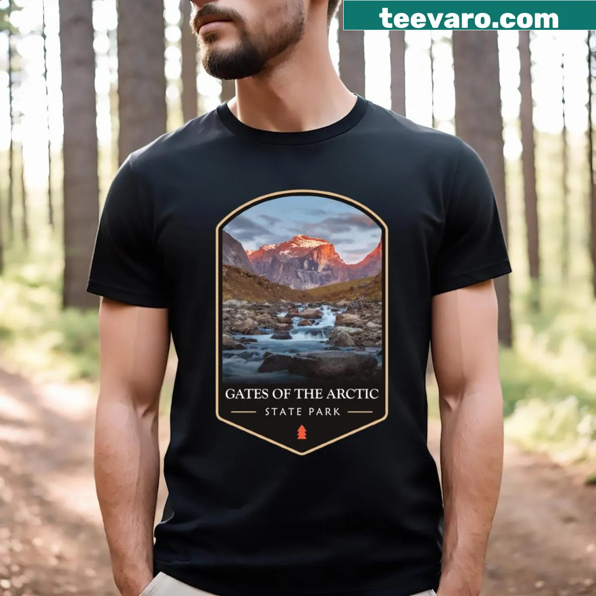 Vintage-style T-shirt featuring Gates Of The Arctic National Park design — on a men's t-shirt