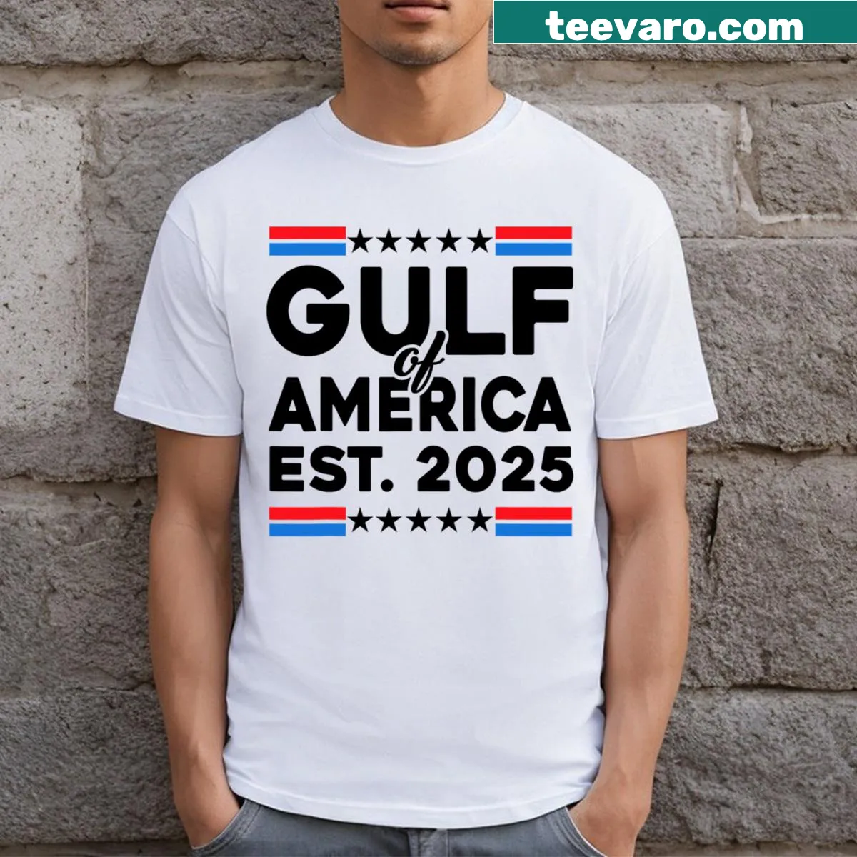 Wholesome graphic of Gulf of Mexico for 2025 — on a men's t-shirt