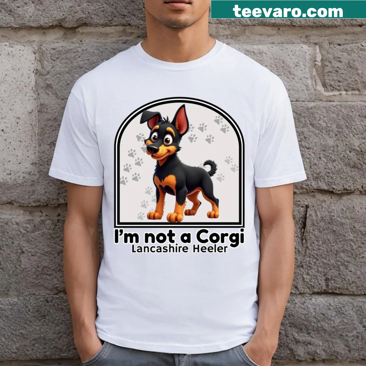 Funny Lancashire Heeler shirt with playful text distinguishing it from corgis — on a men's t-shirt