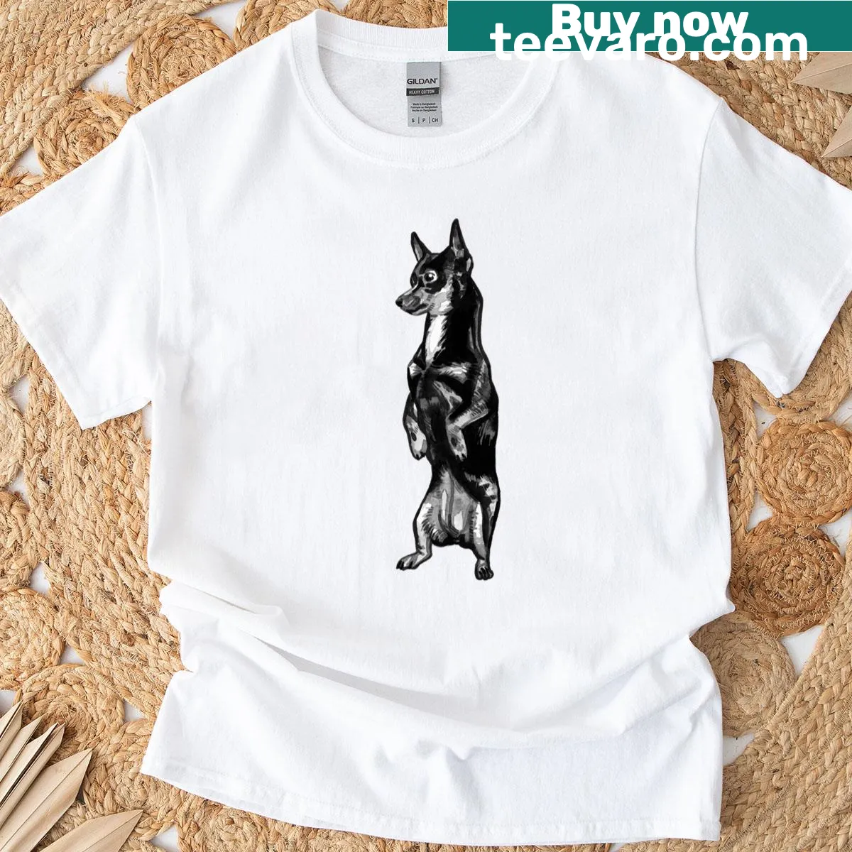 Charming Chihuahua illustration t-shirt — on a men's t-shirt
