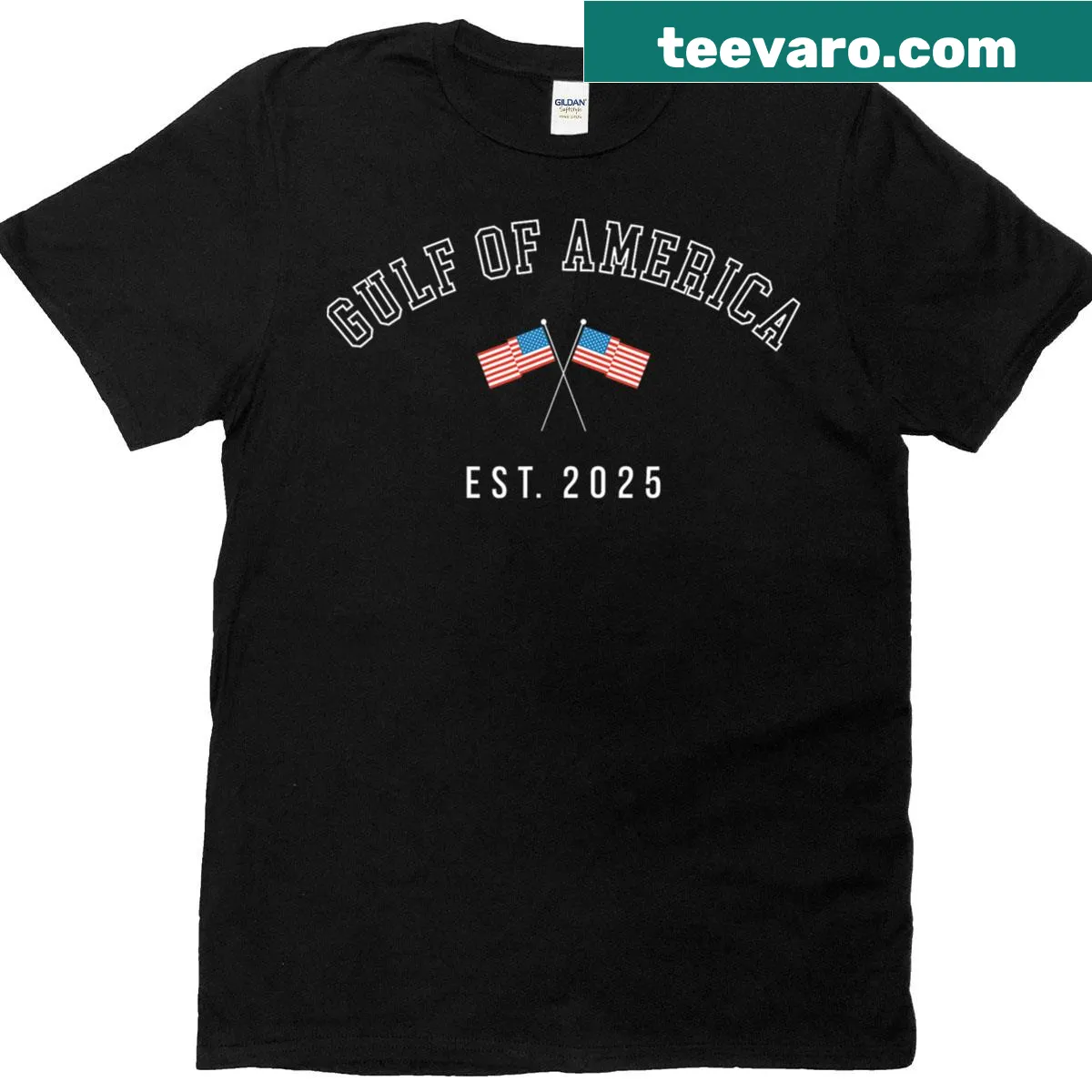 Vintage-style American flag t-shirt with 'Est 2025' text — on a men's t-shirt