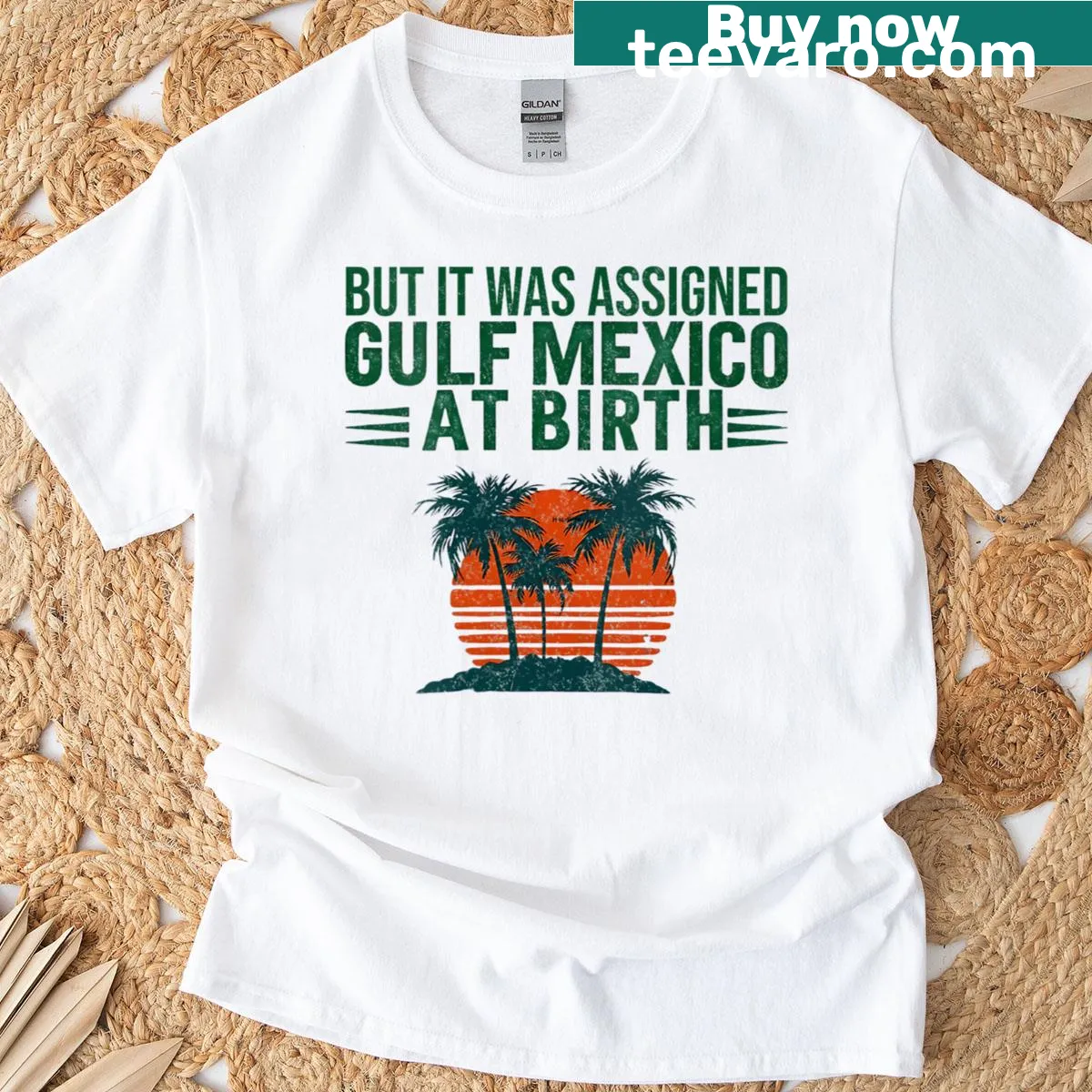 Retro V-neck T-shirt featuring Gulf of Mexico humor — on a men's t-shirt