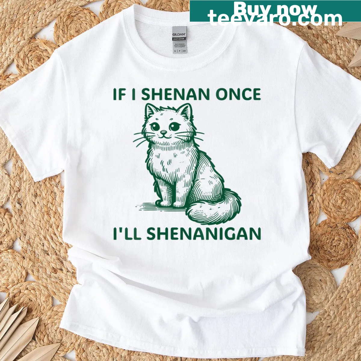 V-neck T-shirt with humorous St. Patrick's Day design 'If I Shenan Once I'll Shenanigan' — on a men's t-shirt