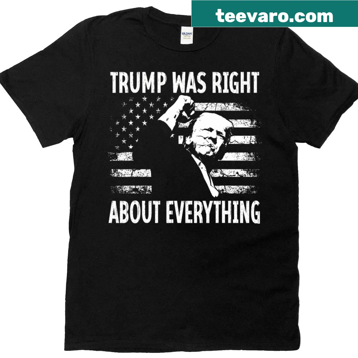 Funny political T-shirt with American flag and Trump memes — on a men's t-shirt