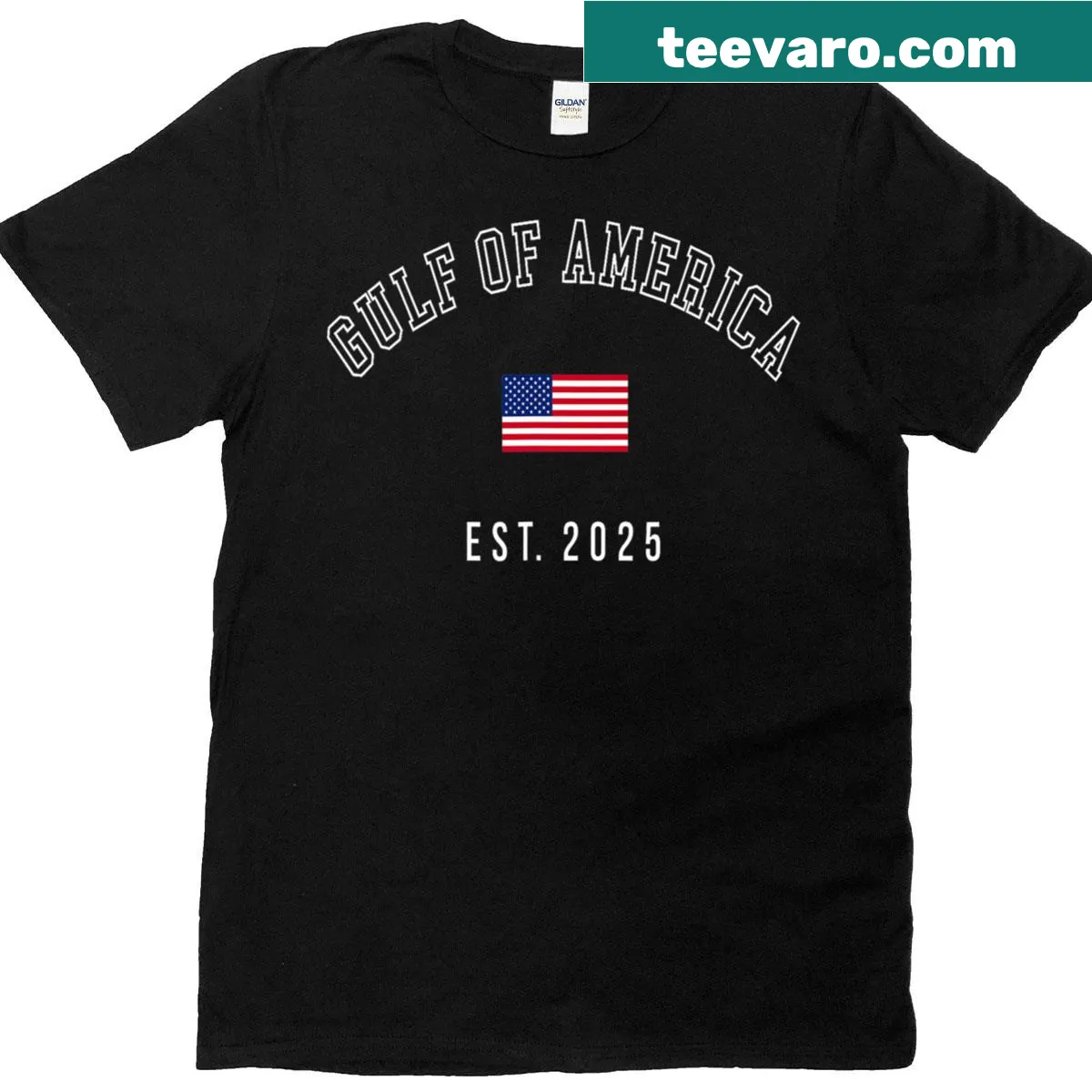 Retro American flag tee for men, Est 2025 — on a men's t-shirt