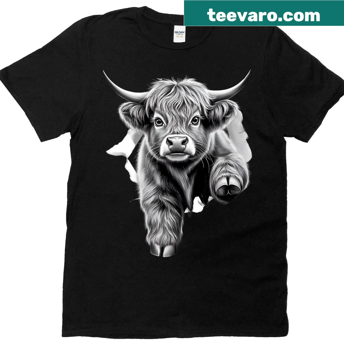 Realistic illustration of Scottish Highland cows in a farm setting. — on a men's t-shirt