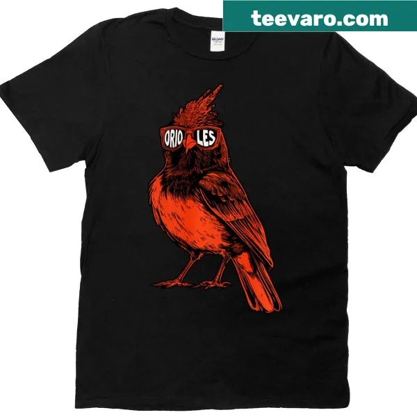 Vintage-style t-shirt featuring the name Baltimore in classic typography