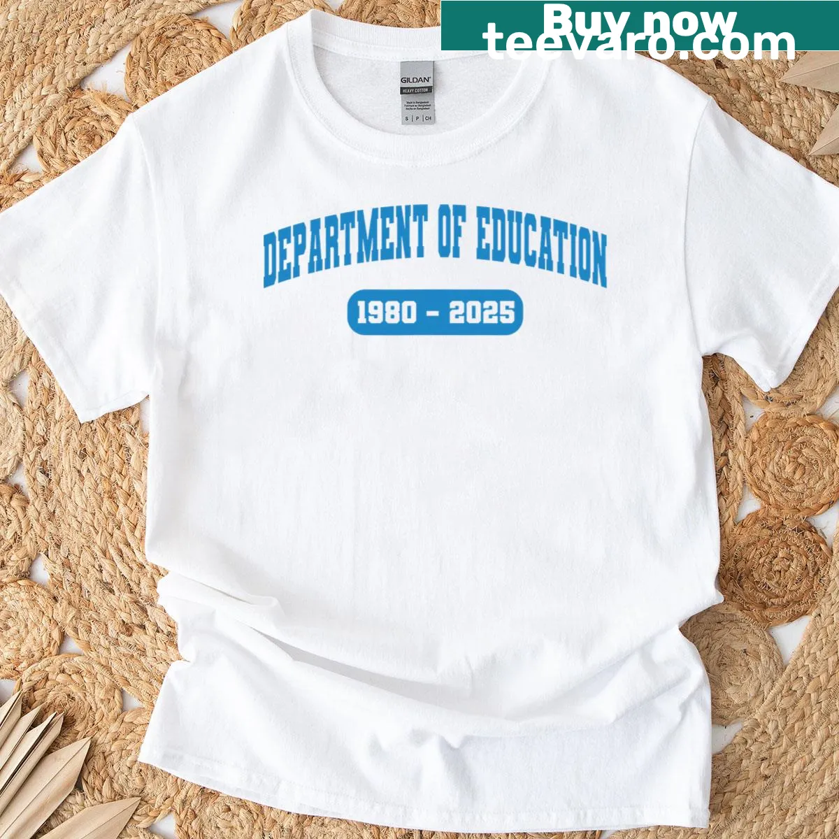 Vintage-style t-shirt with Department of Education 1980 2025 design — on a men's t-shirt