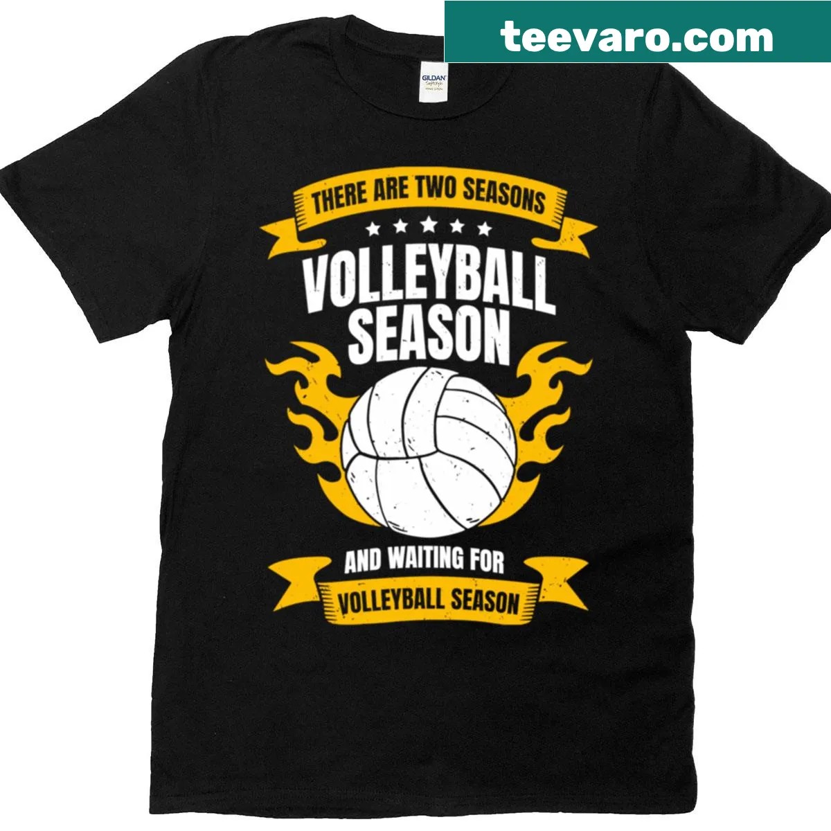 Funny volleyball-themed t-shirt for coaches and players — on a men's t-shirt