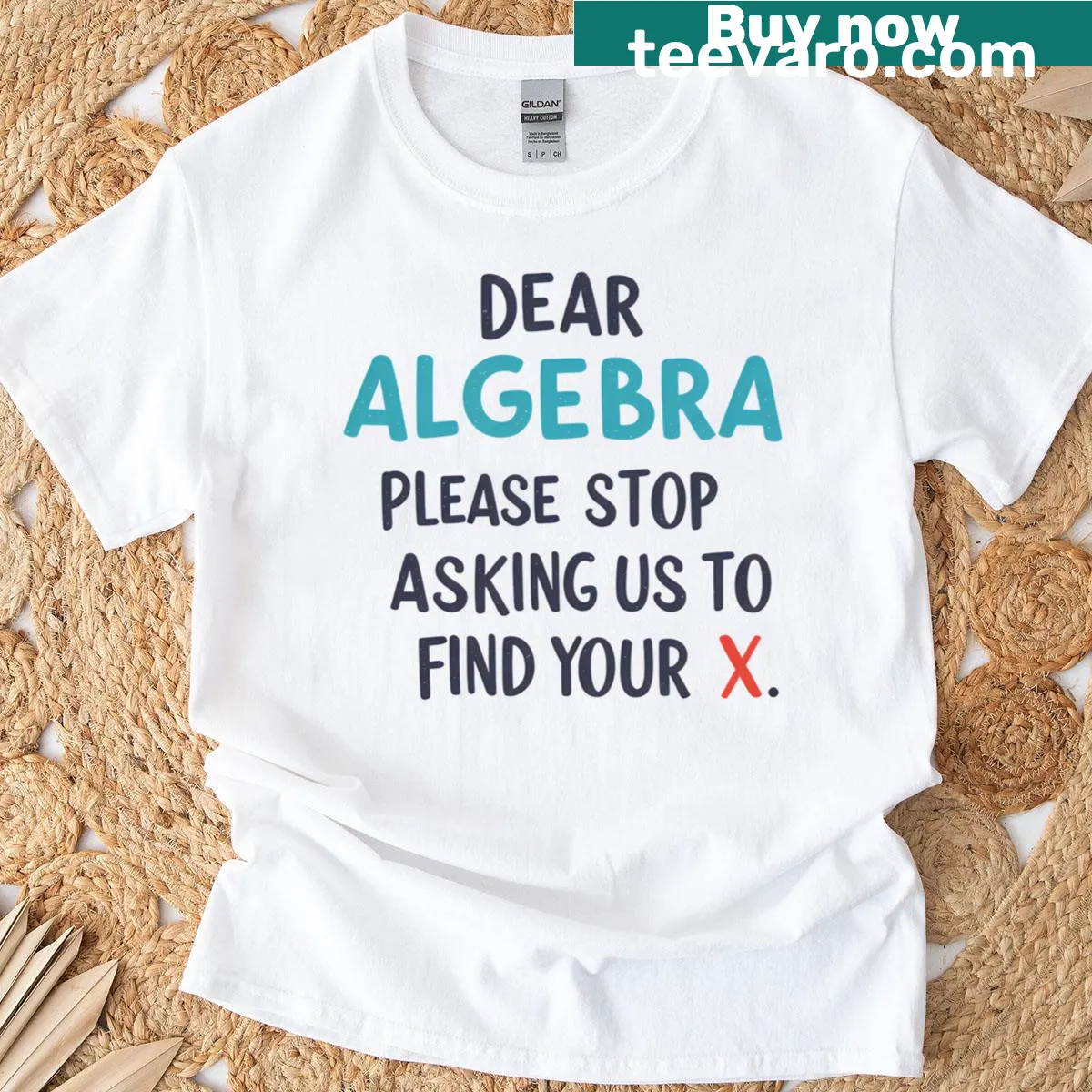Sarcastic algebra themed t-shirt with humorous text — on a men's t-shirt