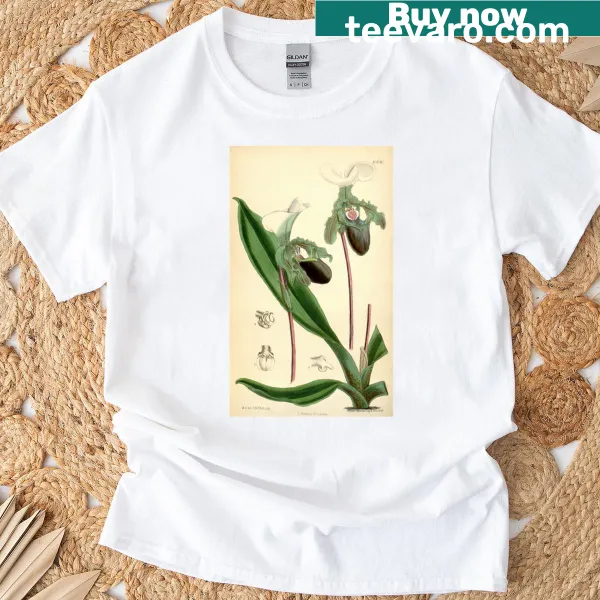 Vintage Illustration T-shirt of Paphiopedilum Spicerianum orchid.