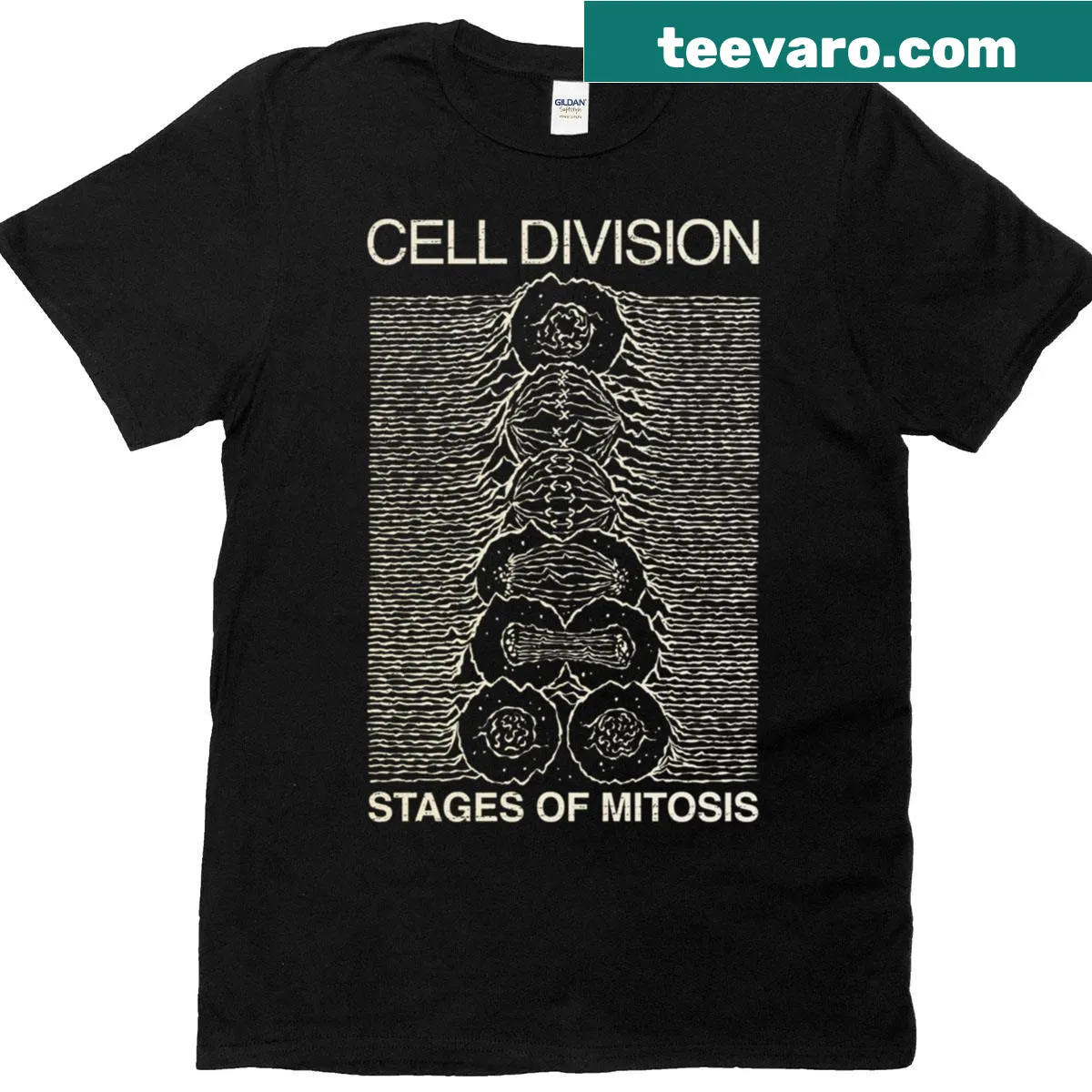 T-shirt featuring an illustration of cell division, ideal for biology enthusiasts. — on a men's t-shirt