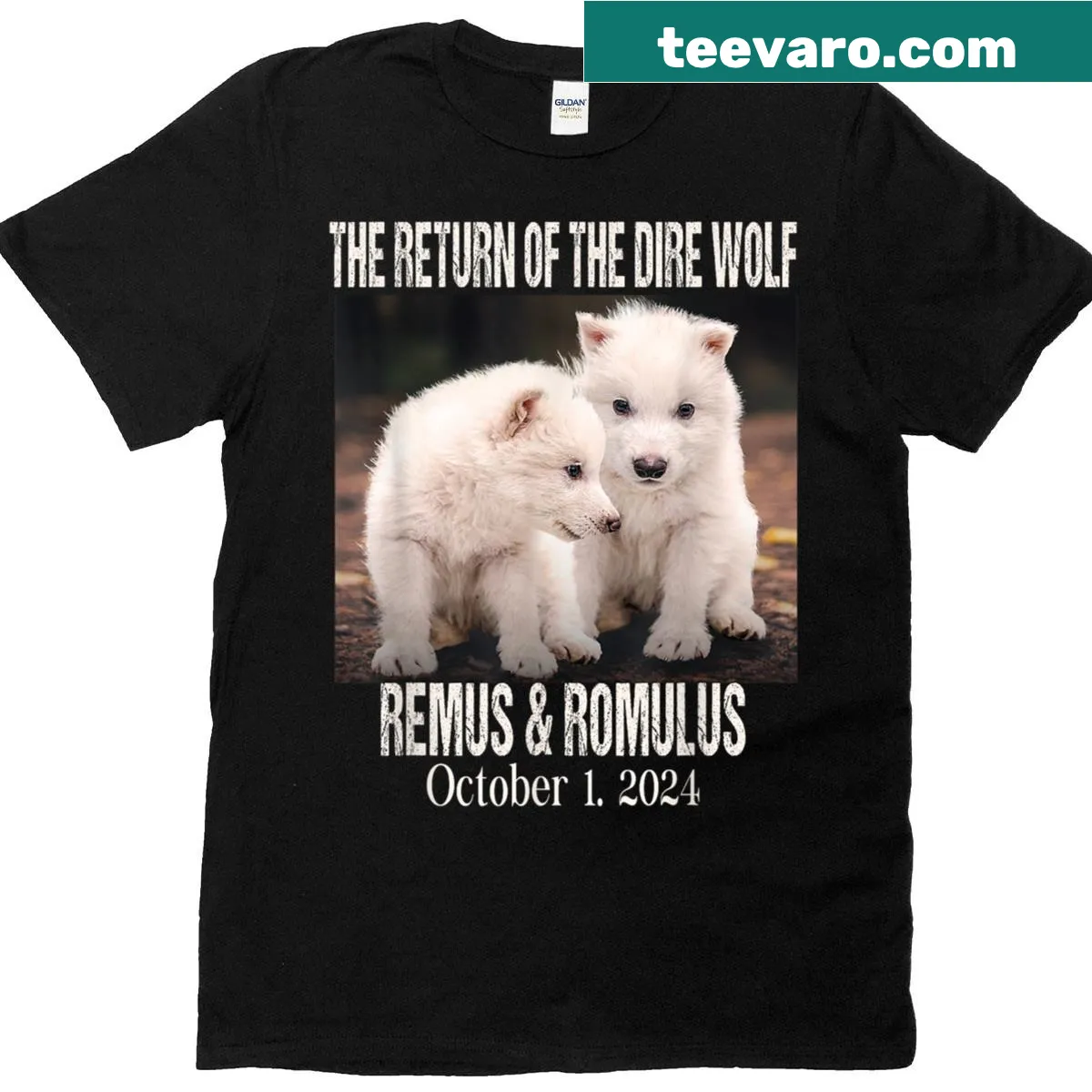 Illustration of a Dire Wolf with 'Remos And Romulus 2024' text on T-shirt — on a men's t-shirt