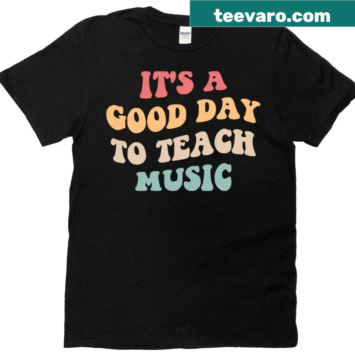 Inspirational T-shirt for music teachers with motivational phrase — on a men's t-shirt
