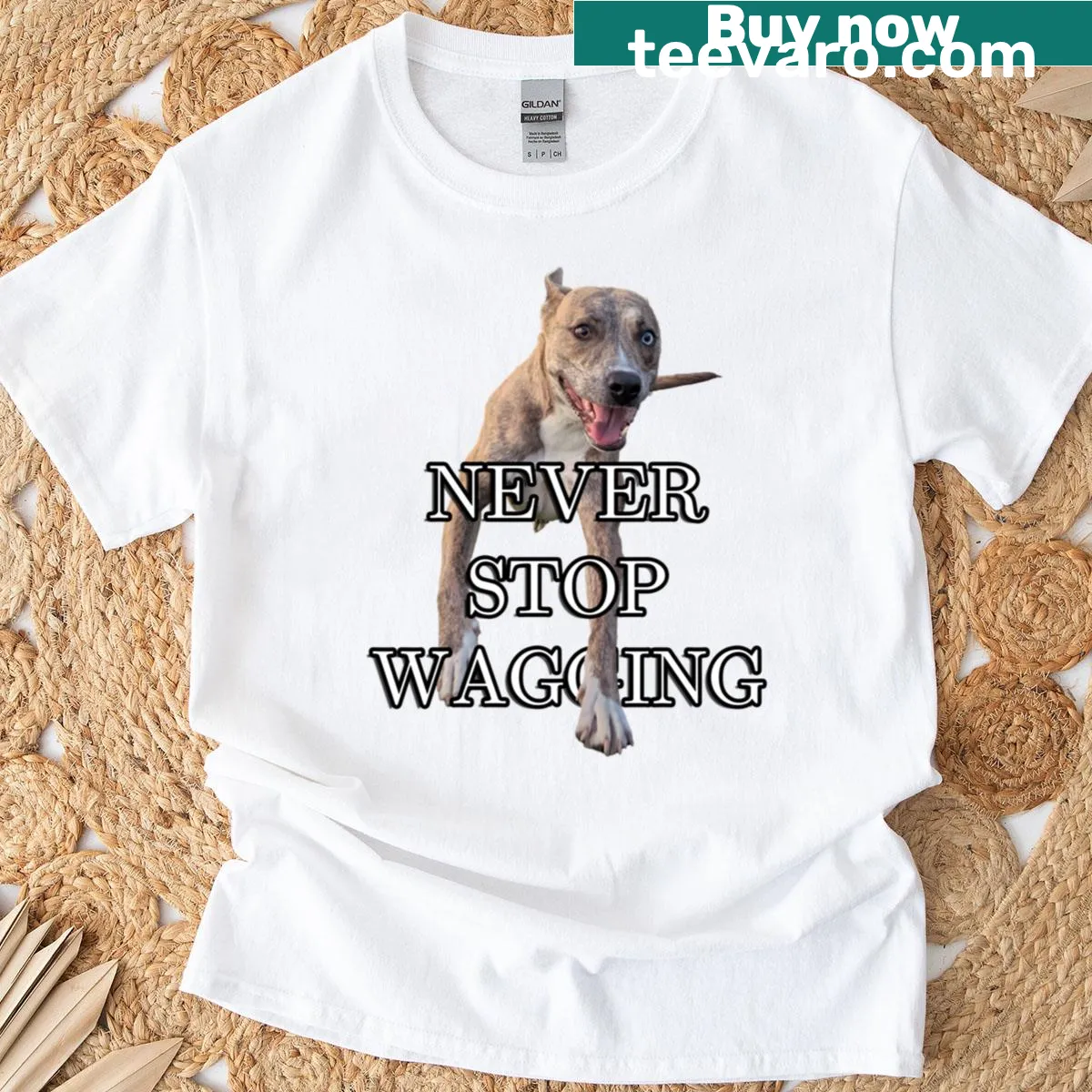 Wholesome T-shirt featuring a message about pit bulls and positivity — on a men's t-shirt