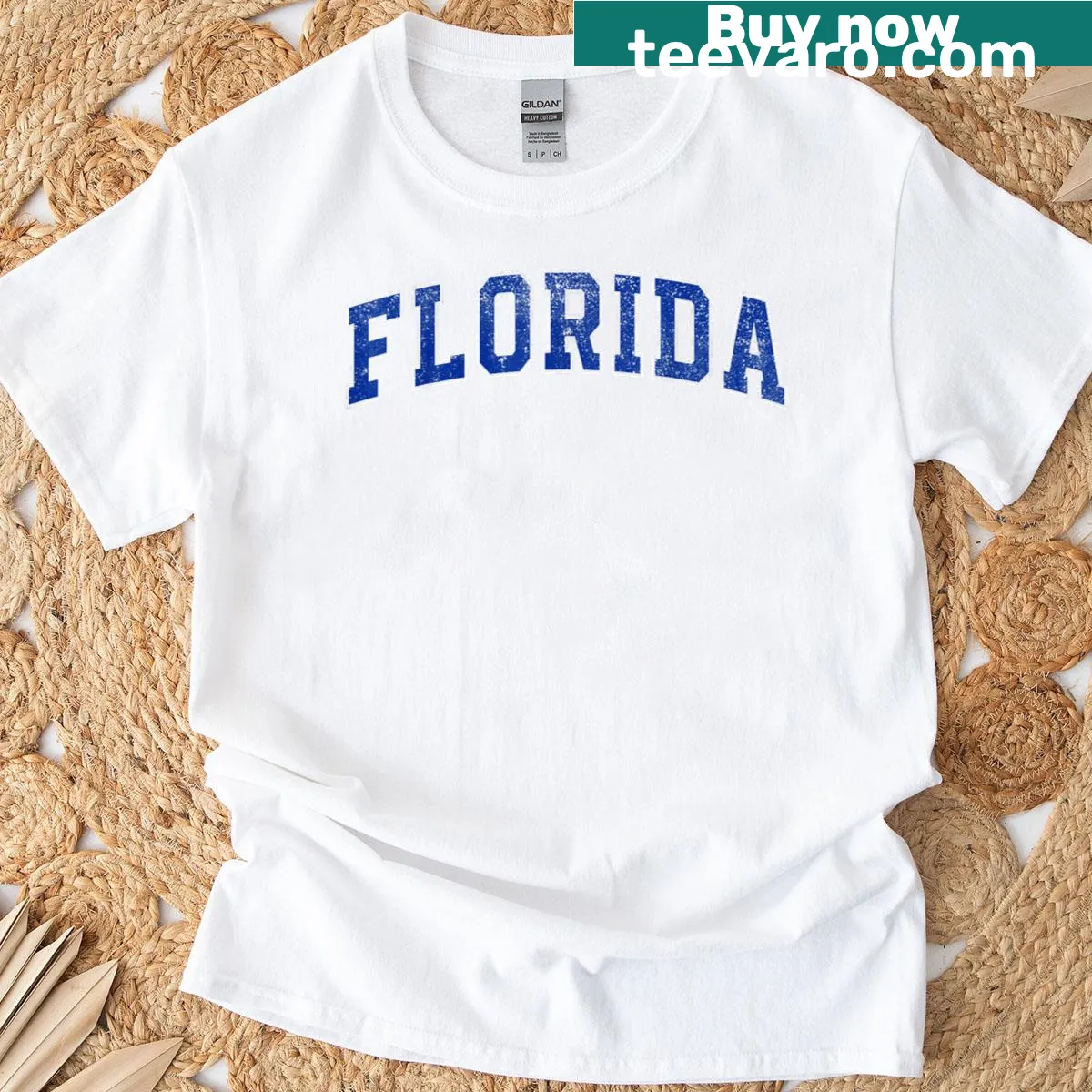 Retro T-shirt celebrating Florida culture and charm — on a men's t-shirt
