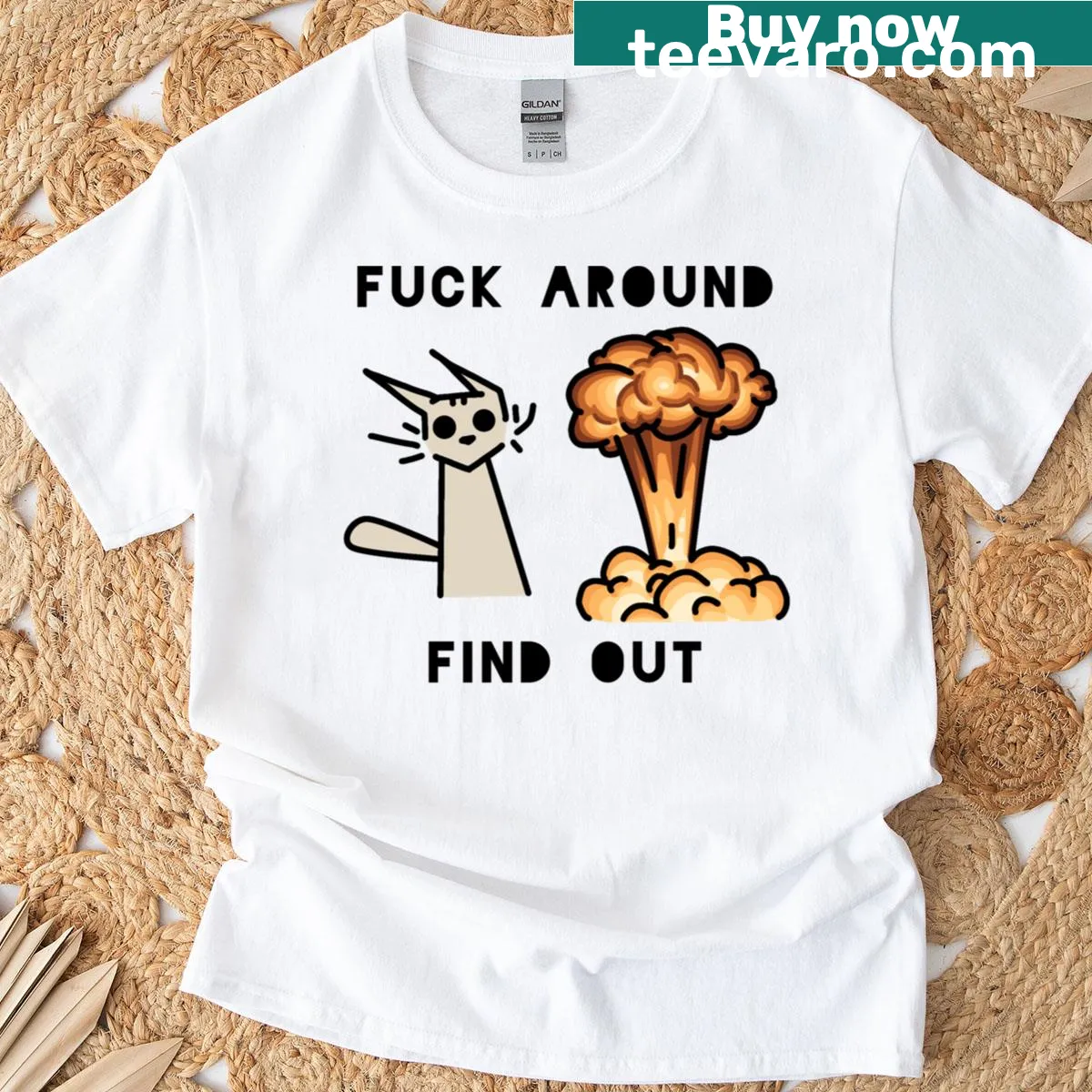 Edgy cat graphic with the phrase Fuck Around Find Out on a T-shirt — on a men's t-shirt