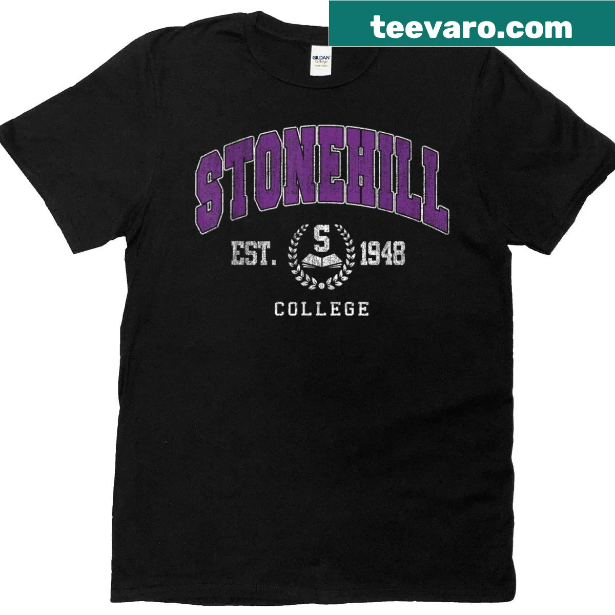 Vintage sports tee featuring the Stonehill Arch graphic — on a men's t-shirt