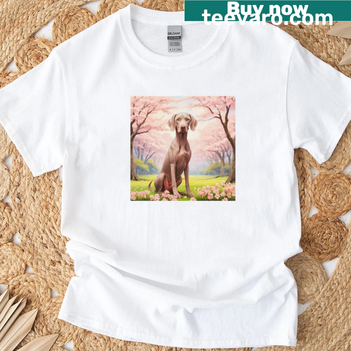 Weimaraner dog illustration with sakura trees on T-shirt — on a men's t-shirt