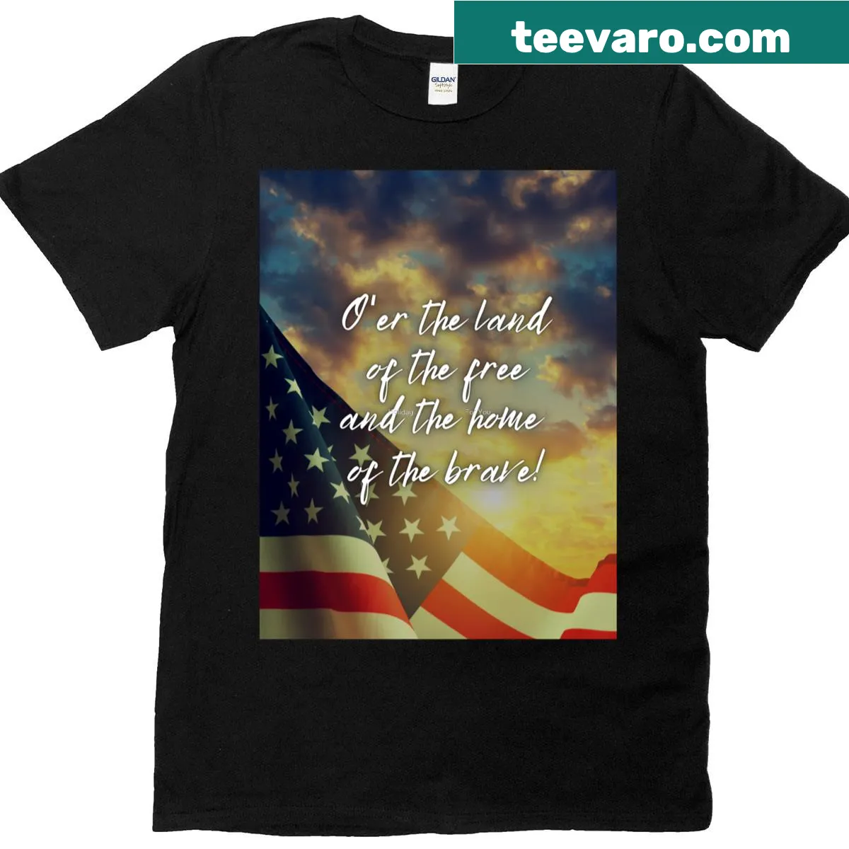 Patriotic t-shirt with 'Land of the Brave' text — on a men's t-shirt